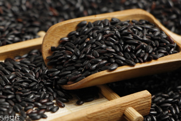黑米會生蟲嗎 保存不當會生蟲 黑米會生蟲嗎 保存不當會生蟲