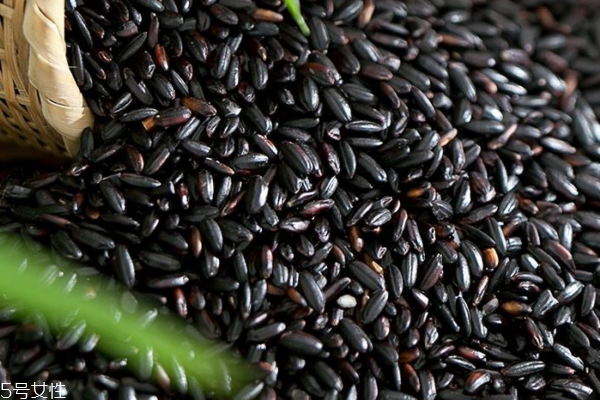 黑米有什么功效 功效多多 黑米有什么功效 功效多多