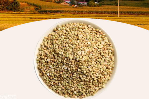 蕎麥?zhǔn)谴旨Z嗎 典型的粗糧 蕎麥?zhǔn)谴旨Z嗎 典型的粗糧