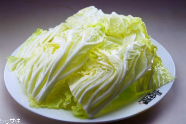 白菜的營養(yǎng)價值與功效 白菜的營養(yǎng)價值與功效