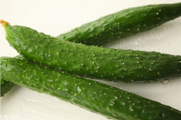黃瓜為什么會(huì)苦 三個(gè)原因?qū)е? alt=