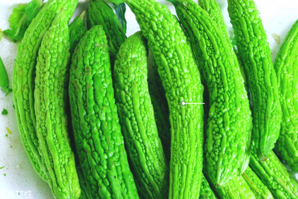 苦瓜為什么會(huì)變黃 苦瓜熟了 苦瓜為什么會(huì)變黃 苦瓜熟了