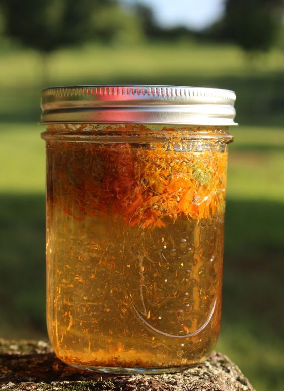 金盞花護膚品自制教程 3樣diy金盞花護膚品 金盞花護膚品自制教程 3樣diy金盞花護膚品