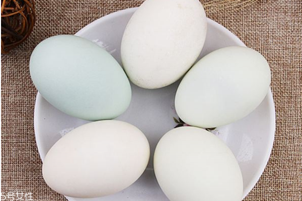 鴨蛋為什么不能做蛋糕 因為禁忌太多 鴨蛋為什么不能做蛋糕 因為禁忌太多