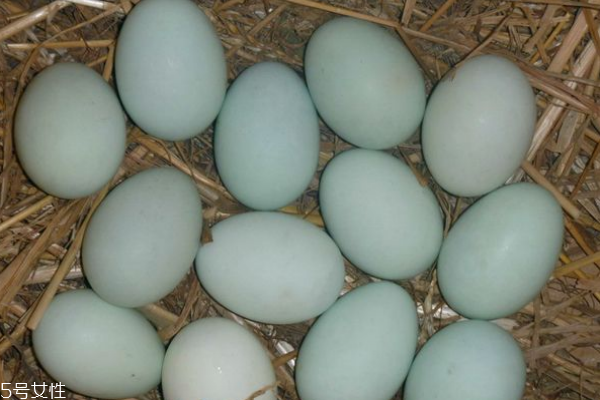 鴨蛋為什么不能做蛋糕 因為禁忌太多 鴨蛋為什么不能做蛋糕 因為禁忌太多