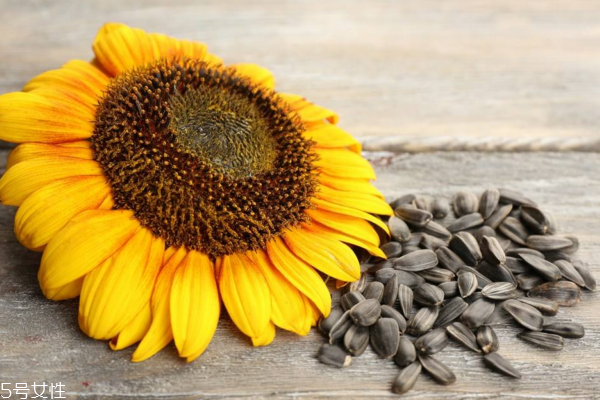 瓜子有點變味了怎么辦 可能是變質(zhì)了 瓜子有點變味了怎么辦 可能是變質(zhì)了