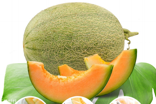 哈密瓜為什么那么甜 日照時(shí)間長(zhǎng) 哈密瓜為什么那么甜 日照時(shí)間長(zhǎng)