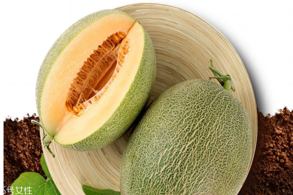 哈密瓜為什么那么甜 日照時(shí)間長(zhǎng) 哈密瓜為什么那么甜 日照時(shí)間長(zhǎng)