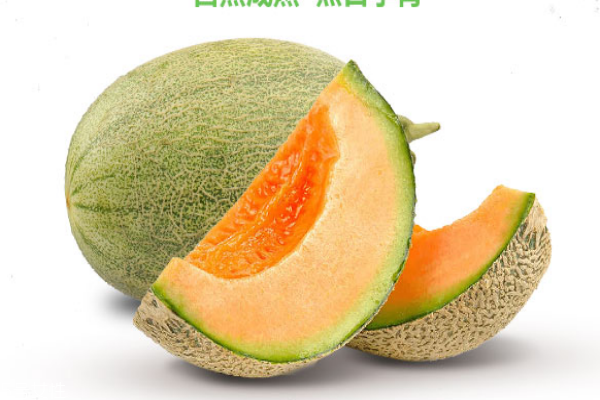 哈密瓜為什么那么甜 日照時(shí)間長(zhǎng) 哈密瓜為什么那么甜 日照時(shí)間長(zhǎng)