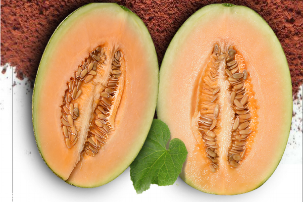 哈密瓜為什么比西瓜貴 營養(yǎng)價(jià)值高 哈密瓜為什么比西瓜貴 營養(yǎng)價(jià)值高