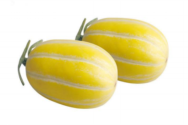 香瓜為什么會爛 是這個原因 香瓜為什么會爛 是這個原因