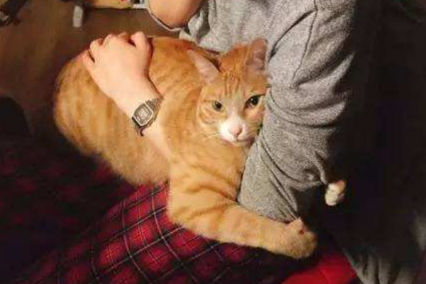 為什么我老是失眠了 減壓放松才是關(guān)鍵 為什么我老是失眠了 減壓放松才是關(guān)鍵