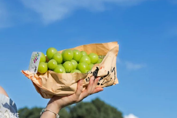 葡萄為什么沒(méi)有籽 品種的原因