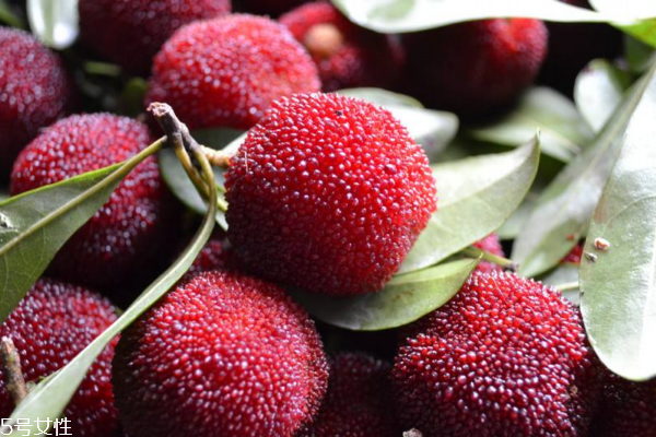 楊梅為什么能抗癌 是因?yàn)檫@些成分 楊梅為什么能抗癌 是因?yàn)檫@些成分