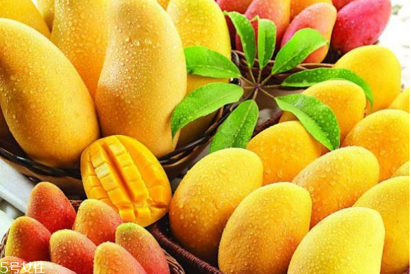 芒果為什么不能放冰箱 熱帶水果 芒果為什么不能放冰箱 熱帶水果