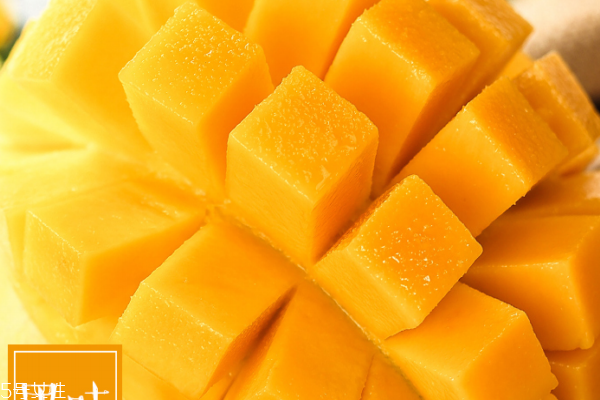 芒果為什么不能多吃 有7個原因 芒果為什么不能多吃 有7個原因