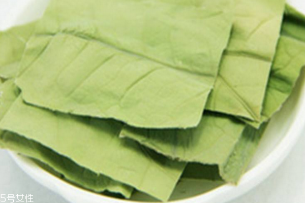 荷葉茶喝熱的還是冷的 熱的好吸收 荷葉茶喝熱的還是冷的 熱的好吸收