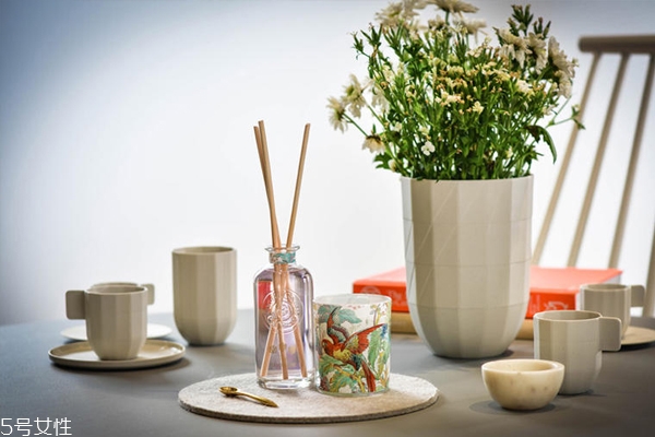 無(wú)火香薰精油怎么挑選 4個(gè)方面買到安全無(wú)害產(chǎn)品 無(wú)火香薰精油怎么挑選 4個(gè)方面買到安全無(wú)害產(chǎn)品