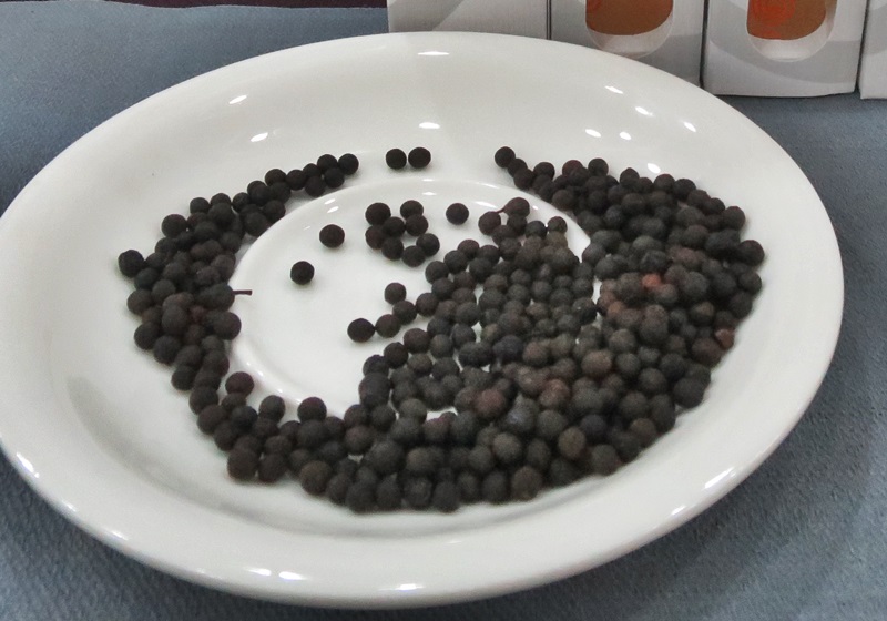 馬告是山胡椒 山胡椒怎么吃 馬告是山胡椒 山胡椒怎么吃