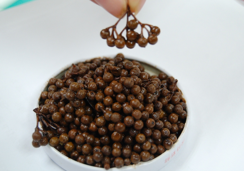 馬告是山胡椒 山胡椒怎么吃 馬告是山胡椒 山胡椒怎么吃