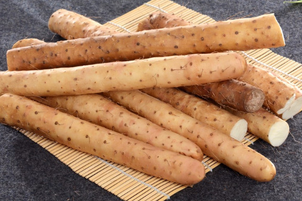 麻山藥長芽還能吃嗎？麻山藥和鐵棍山藥的區(qū)別