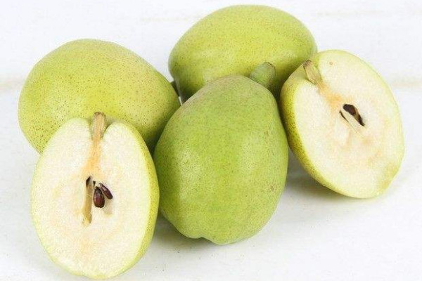 梨子可以分著吃嗎？胃酸過多的人一定要少吃梨