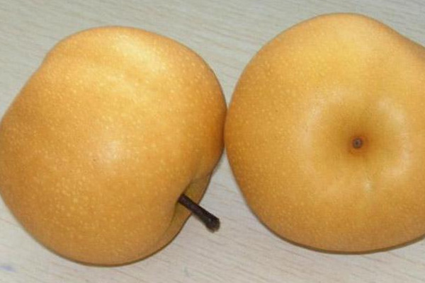 什么品種的梨最好吃？中國四大名梨介紹