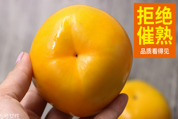 柿子為什么會掉下來 可能是這3個原因 柿子為什么會掉下來 可能是這3個原因