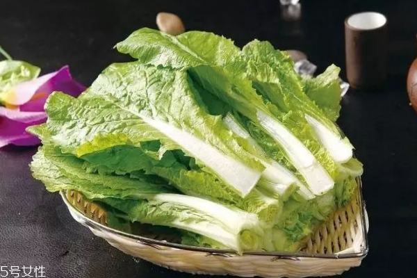 切過的白菜怎么保存 這樣保存就對了 切過的白菜怎么保存 這樣保存就對了