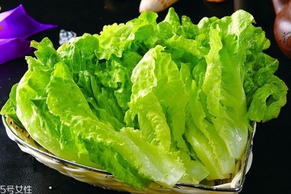 生菜為什么會(huì)苦 是這幾個(gè)原因 生菜為什么會(huì)苦 是這幾個(gè)原因