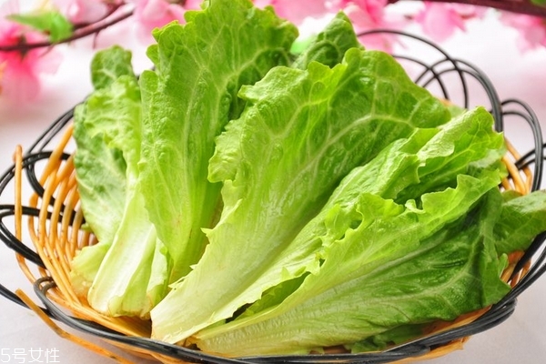 生菜為什么會(huì)苦 是這幾個(gè)原因 生菜為什么會(huì)苦 是這幾個(gè)原因