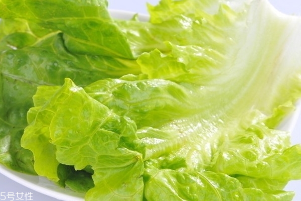 生菜為什么可以生吃 品種原因 生菜為什么可以生吃 品種原因