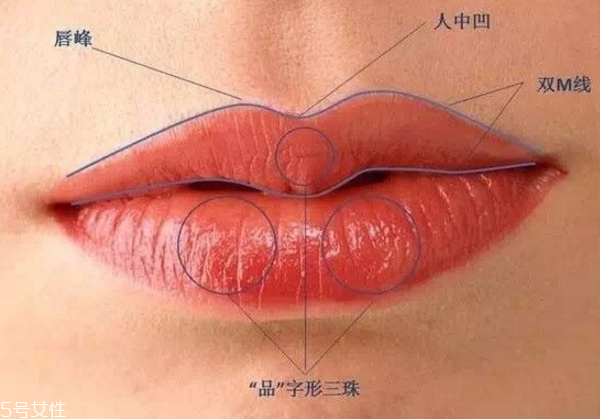 口紅的畫(huà)法步驟 簡(jiǎn)單易上手的畫(huà)唇大法 口紅的畫(huà)法步驟 簡(jiǎn)單易上手的畫(huà)唇大法