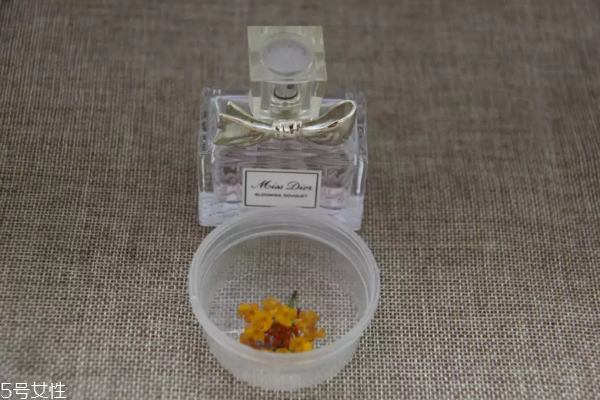 迪奧香水和diptyque香水哪個更持久 迪奧留香較短 迪奧香水和diptyque香水哪個更持久 迪奧留香較短