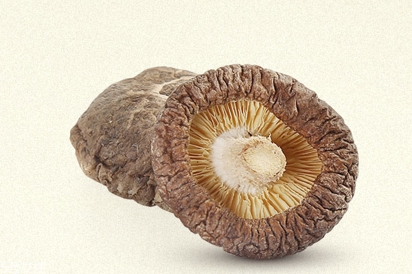 香菇為什么會苦 燉的時間過長 香菇為什么會苦 燉的時間過長