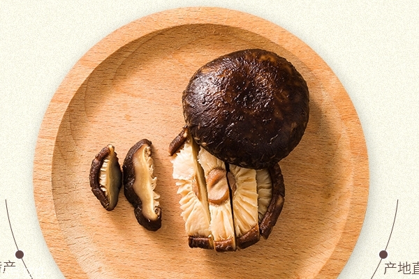 香菇為什么會苦 燉的時間過長 香菇為什么會苦 燉的時間過長