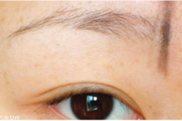 初學者怎么修眉毛 修出完美眉型 初學者怎么修眉毛 修出完美眉型