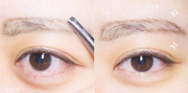 初學者怎么修眉毛 修出完美眉型 初學者怎么修眉毛 修出完美眉型