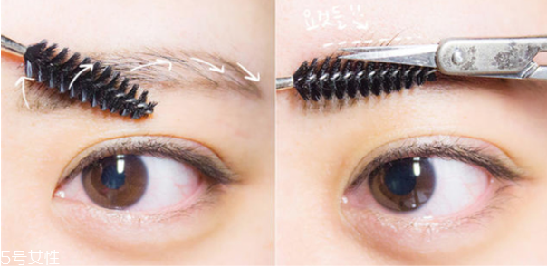 初學者怎么修眉毛 修出完美眉型 初學者怎么修眉毛 修出完美眉型