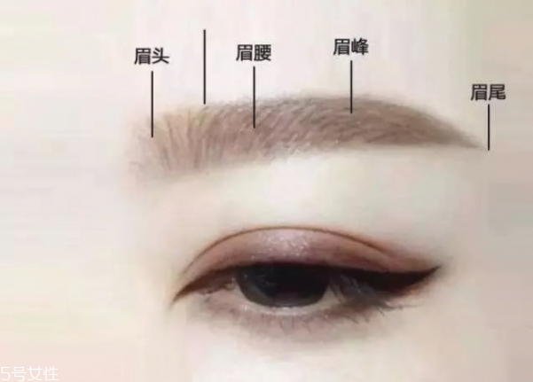 初學者怎么修眉毛 修出完美眉型 初學者怎么修眉毛 修出完美眉型