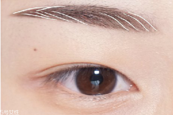 羽玉眉的畫法分解圖 羽玉眉適合的臉型 羽玉眉的畫法分解圖 羽玉眉適合的臉型