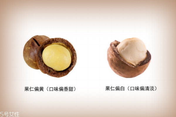 夏威夷果仁是什么顏色 一種偏白一種偏黃 夏威夷果仁是什么顏色 一種偏白一種偏黃