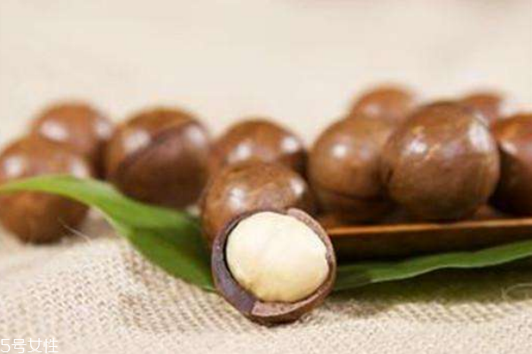 生夏威夷果什么味道 豐富油脂的清香 生夏威夷果什么味道 豐富油脂的清香