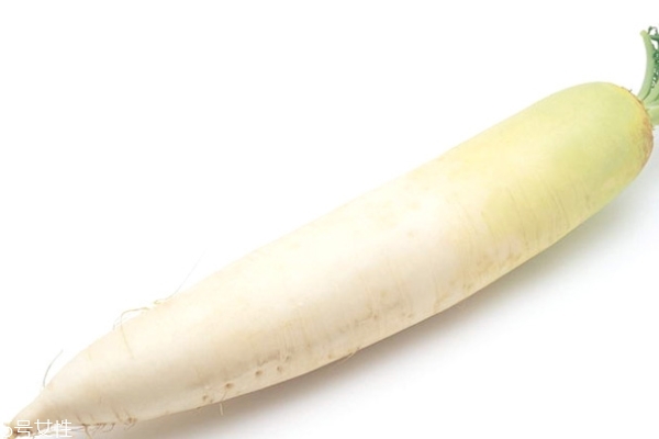 白蘿卜是解藥的嗎 對中藥有影響 白蘿卜是解藥的嗎 對中藥有影響