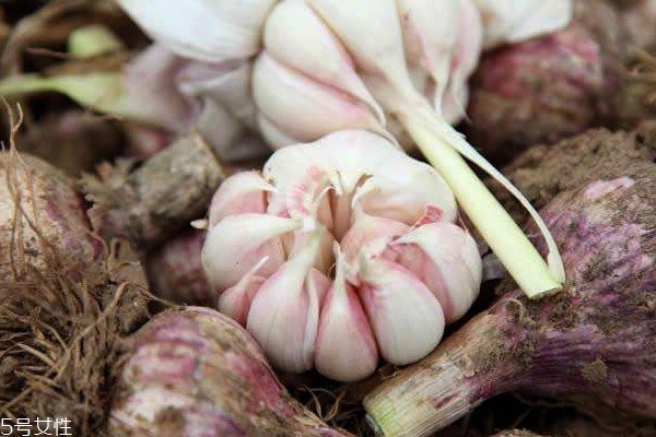 大蒜為什么辣 大蒜素的原因 大蒜為什么辣 大蒜素的原因