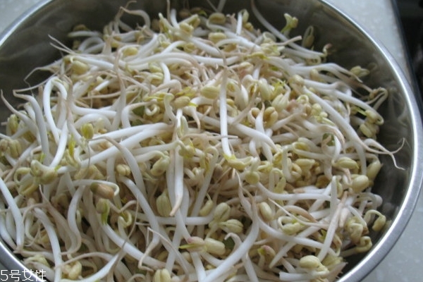 豆芽怎么洗 這樣洗最干凈 豆芽怎么洗 這樣洗最干凈