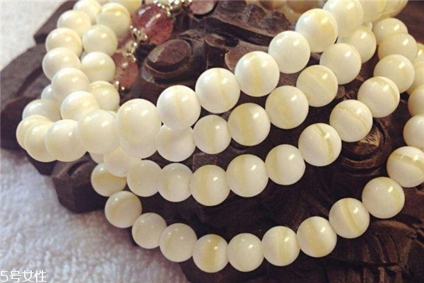 金絲硨磲是什么材質(zhì) 一種漂亮的貝類 金絲硨磲是什么材質(zhì) 一種漂亮的貝類