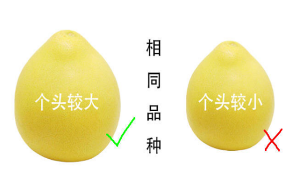 柚子有酒精味還能吃嗎 會引起腸胃不適 柚子有酒精味還能吃嗎 會引起腸胃不適