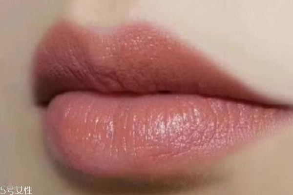溫柔的口紅顏色推薦 見(jiàn)家長(zhǎng)面試一擦立即有好印象