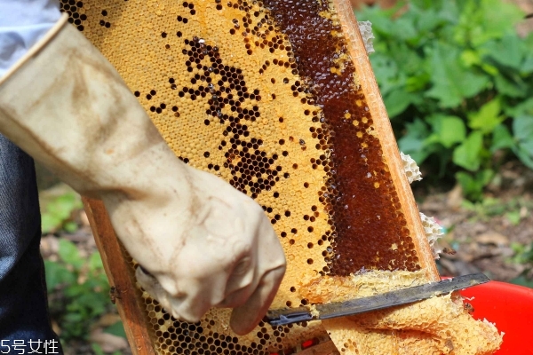 桂花蜜孕婦可以喝嗎 適量喝有好處 桂花蜜孕婦可以喝嗎 適量喝有好處